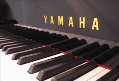 Yamaha Piano Perth