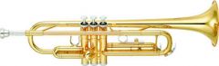 Yamaha YTR3335 Student Trumpet Gold Lacquer 