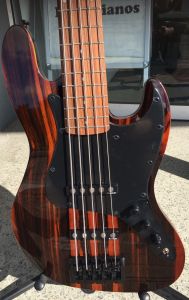 Michael Kelly Element CC 5 Striped Ebony Bass Guitar 